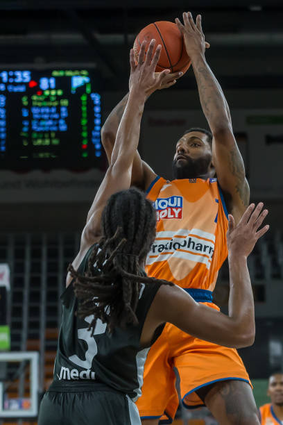 辽篮主帅杨 辽篮主帅杨